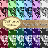 *Wallflowers* Watercolor Roses