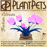 PlantPet Seed [Eleusis *Fuchsia*](RARE, ELITE, VINTAGE)