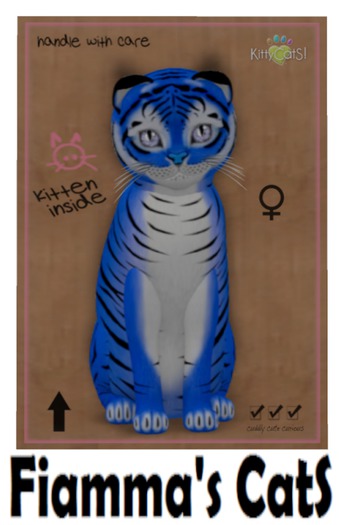 KittyCatS Box - Tiger! - Huckleberry