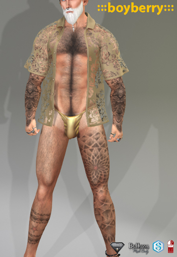 boyberry Damask Gold