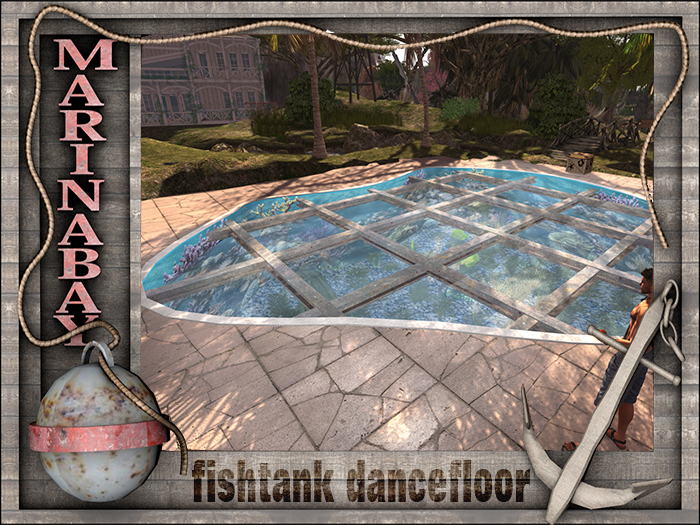 fishtank dancefloor