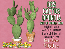Mi Casa Su Casa: Dos Cactus Opuntia (Prickly Pear)