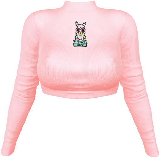EVIE - Cold Freak Sweater [Salmon]
