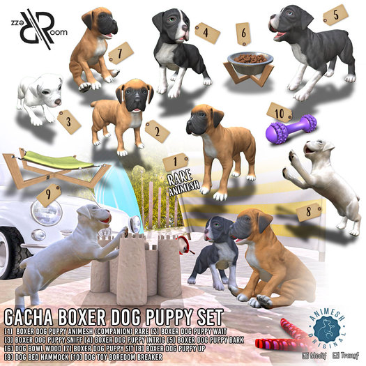 [Rezz Room] Pack Boxer Dog Puppy Sniff