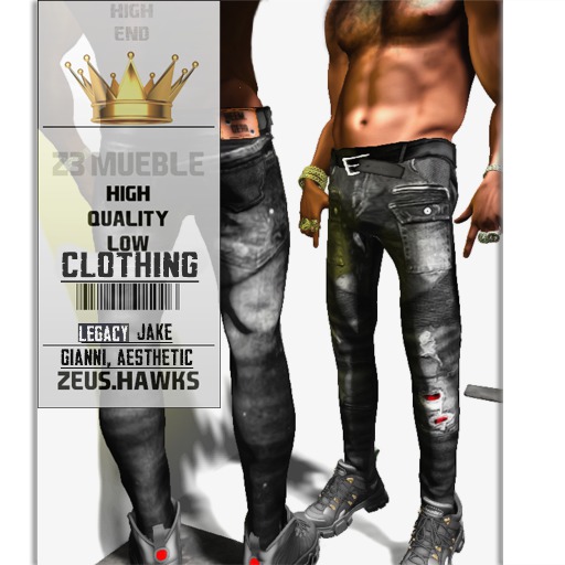 HEEM :BiKER DENM (RIGGED)