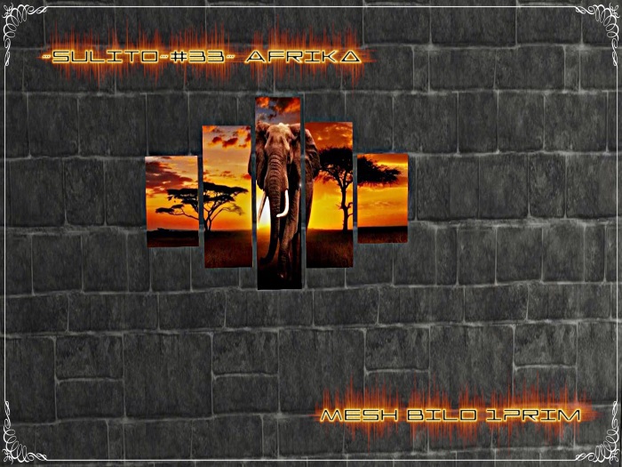 ~Sulito~#33~ Afrika