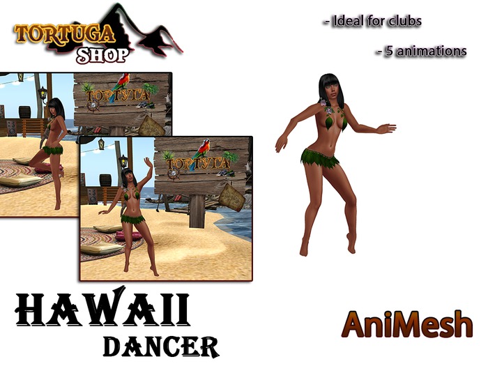 Dance Hawaii Animesh 2