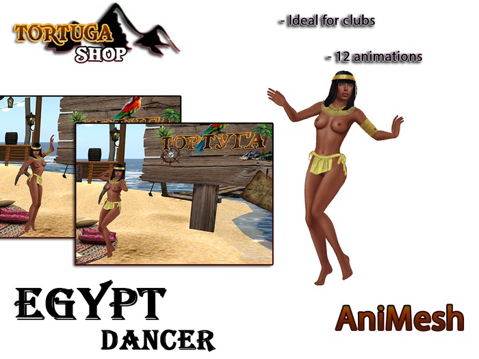 Dance Egypt Animesh 4