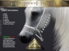 Abaddon arts tpet almaas halter moon arabian slmp