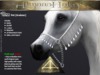 Abaddon arts tpet almaas halter silver arabian slmp