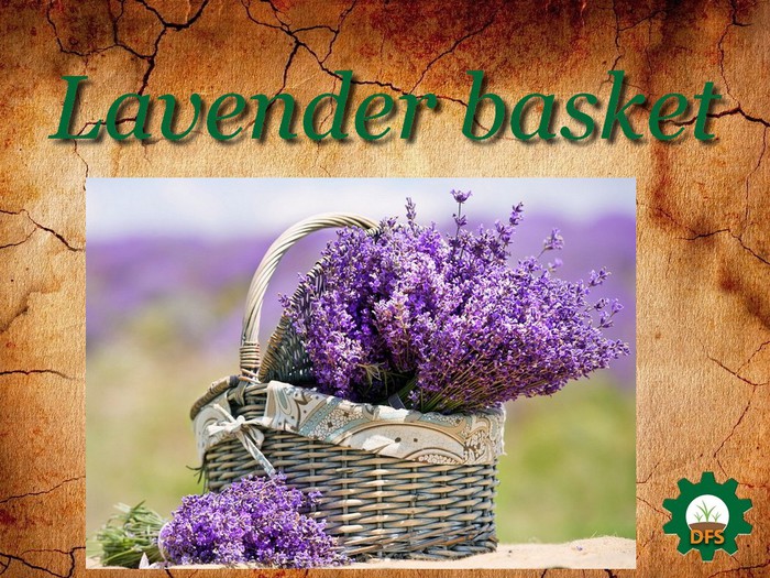 DFS Texture Lavender Basket