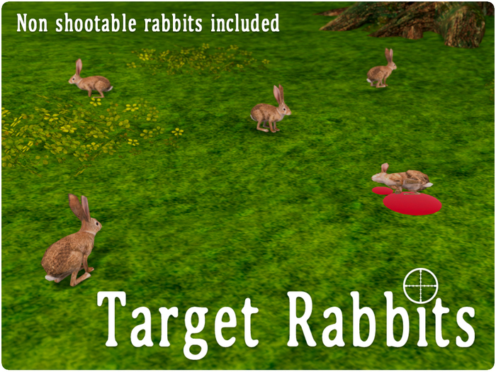 NF - Target Rabbits