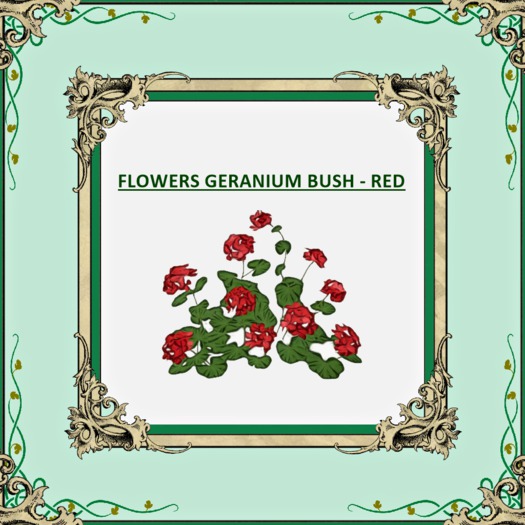 DFS FLOWERS GERANIUM BUSH RED