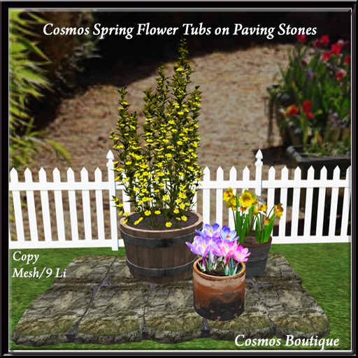 Cosmos Spring Flower Tubs on Paving Stones