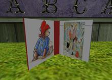 Lost Bear Book
