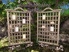 Pink pedal trellis ad700