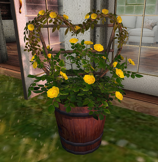 CJ Lena Bucket Planter yellow Roses - Box add