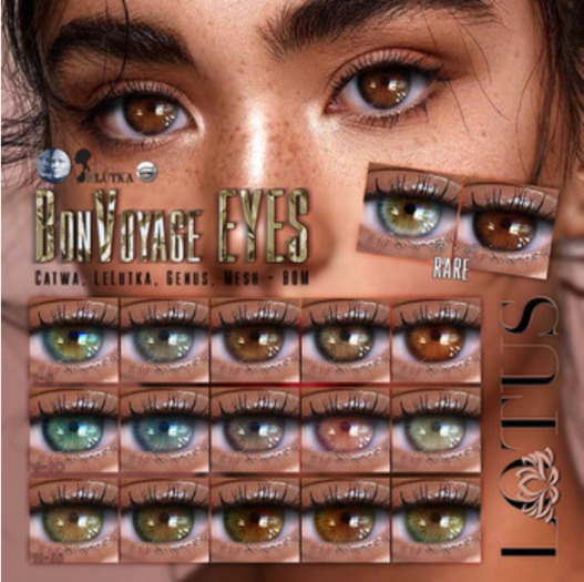 LOTUS. BonVoyage Eyes 11 BOX