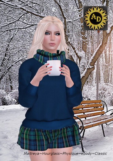 Cozy Tartan Navy