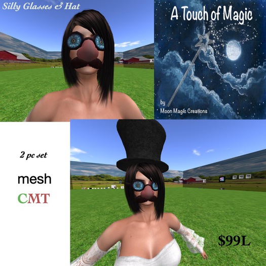 silly glasses & top hat-box