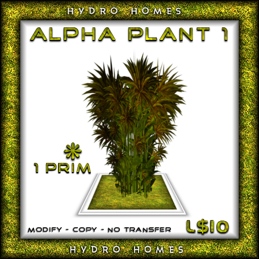 Plant