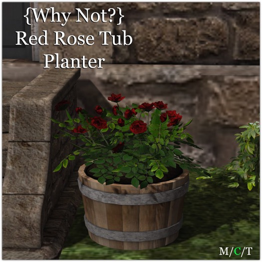 {Why Not?} Red Rose Tub Planter-Boxed