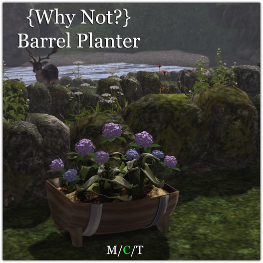 {Why Not?} Barrel Planter-Boxed