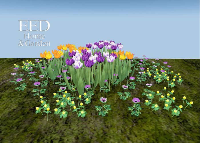 EED's SPRING PATCH resizer c