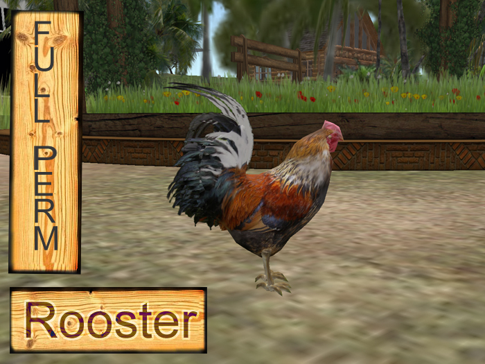 Rooster, sculpt Full perms
