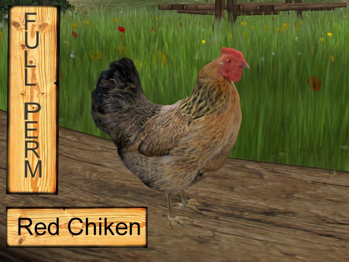 Chicken red, sculpt  Full perms