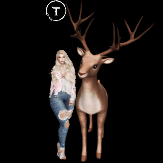 SEmotion Libellune Blossom Deer Animesh #11