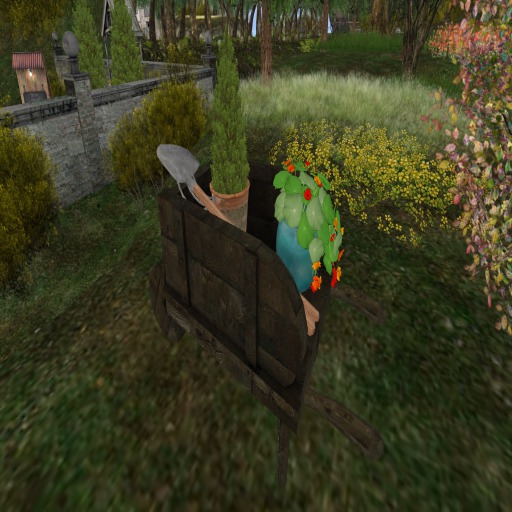 Wheel barrow with plants