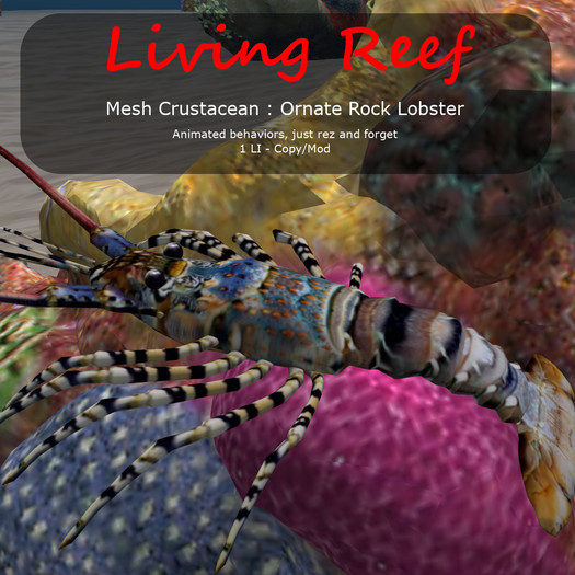 Inochi Reef : Mesh Crustacean - Ornate Rock Lobster