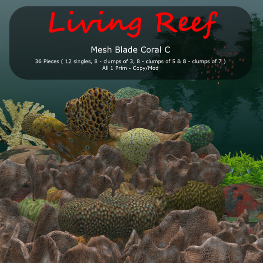 Inochi Reef - Mesh Blade Coral C