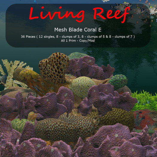 Inochi Reef - Mesh Blade Coral E