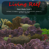 Inochi Reef - Mesh Blade Coral E