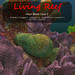 Inochi reef blade coral e 4