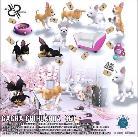 [Rezz Room] Pack Chihuahua Up