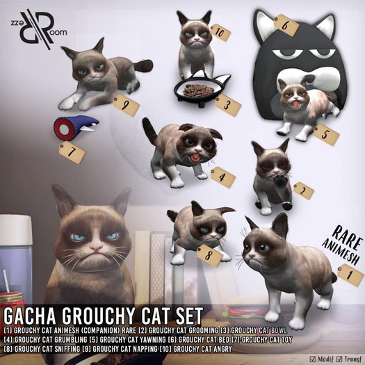 [Rezz Room] Pack Grouchy Cat Yawning