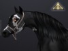 Abaddon arts tpet zuri mane slmp 3