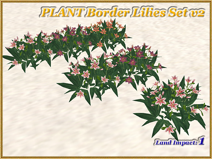 PLANT Border Lilies Set v2