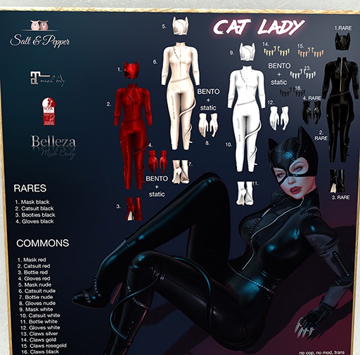 S&P Cat Lady boots Lara nude (rez to unpack)