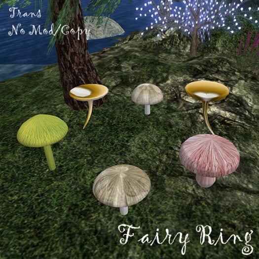 Natural Fairy Ring