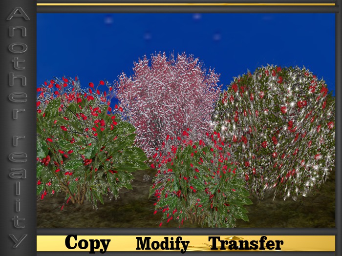 BERRY BUSH UNDER SNOW