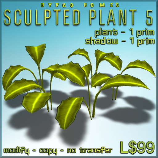 Plant