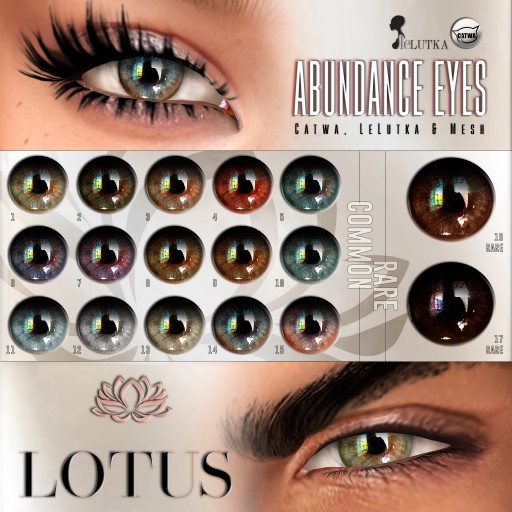LOTUS. Abundance Eyes 07 BOX