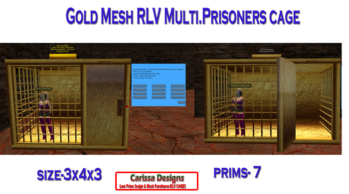 Gold Mesh RLV Multi.Prisoners cage C