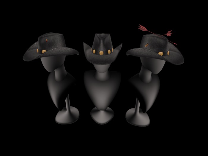 jinnilli'M Set Of 3 Black Cowboy Hats-Add