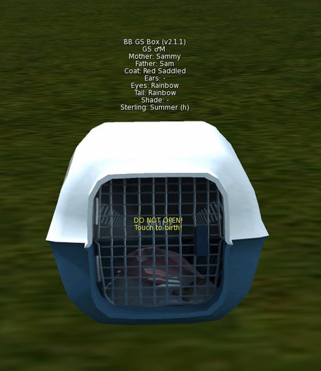 BB GS Box Male, Coat: Red Saddled, Eyes: Rainbow, Tail: Rainbow 