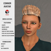 Sloane . Avatars . Connor . Demo